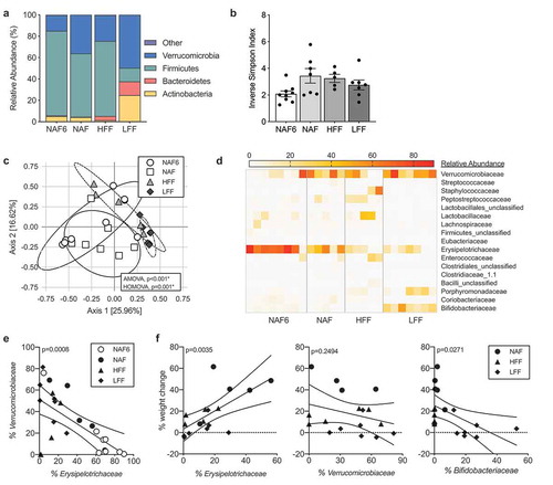 Figure 3. HFF and LFF diets cause distinct shifts in the composition of the microbiota following dietary intervention. Microbiota sampling of fecal contents of mice in treatment groups NAF6, NAF, HFF and LFF. (a) Phylum-level abundance and (b) diversity measured using Inverse Simpson Index. (c) Principal Coordinate of Analysis (PCoA) of microbiota composition at the genus level. (d) Heatmap representation of family-level abundance with families >1% abundance. (e) Relative abundance of Erysipelotrichaceae and Verrucomicrobiaceae by scatter plot (p = .0008). (f) Correlation between weight change and abundance of Erysipelotrichaceae (p = .0035), Verrucomicrobiaceae (p = .2494) and Bifidobacteriaceae (p = .0271). Data is the mean ± SEM of 2 independent experiments, n = 5–8mice/group. Statistics in (C) is analysis of molecular variance (AMOVA) and homogeneity of molecular variance (HOMOVA). (e-f) is Pearson Correlation Coefficient of all data points.