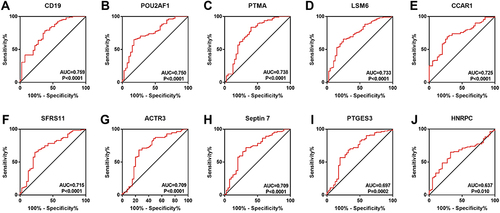 Figure 2 ROC curve of hub genes. The ROC curve of CD19 (A), POU2AF1 (B), PTMA (C), LSM6 (D), CCAR1 (E), SFRS11 (F), ACTR3 (G), Septin7 (F), PTGES3 (I), and HNRPC (J) were represented.