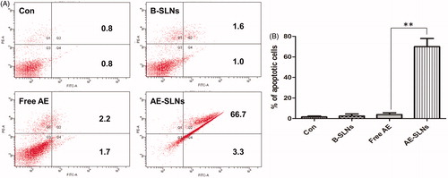 Figure 7. Quantitative apoptotic measurement in MCF-7 cells with treatment of Free AE, B-SLNs and AE-SLNs. (A). Results of dose dependent effect are expressed as dot plot of AnnexinV-FITC versus PI and representative values are shown. (B). The results are expressed as bar chart. Data as mean ± S.D. (n = 3). **p < 0.01, AE-SLNs versus Free AE.