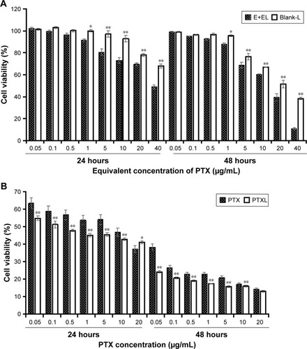 Figure 4 (A) Cell viability of Blank-L and (E+EL) after incubation 24 hours and 48 hours (n=4, mean ± SD). *P<0.05 vs Blank-L. **P<0.01 vs Blank-L. (B) Cell viability comparison between PTX and PTXL after incubation 24 hours and 48 hours (n=4, mean ± SD). *P<0.05 vs PTX. **P<0.01 vs PTX.Abbreviations: Blank-L, blank liposomes; E+EL, anhydrous ethanol/polyoxyethylene castor oil; PTX, paclitaxel; PTXL, paclitaxel–cholesterol-loaded liposomes.