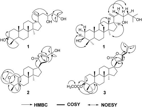 Figure 2. HMBC, COSY and NOESY correlations of compounds 1–3.