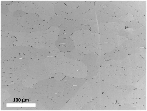 Figure 3. Microstructure of the AA6016 as measured by the inlens secondary electron detector at Position B. The width of the image is 500 µm.