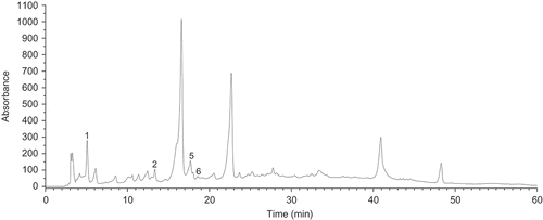 FIGURE 2 Chromatogram of a red wine Rondo, at 280 nm (see Table 2 for peak identification).
