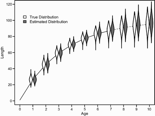 Figure 7. Length-at-age distributions for 10,000 simulated individuals (‘true’) and estimated posterior distribution from scenario 3 with CV(k)=0.2 and CV(w)=0.05 (see Table 2). The solid line indicates the mean length-at-age of observed individuals (ages 1–7), while the dashed line indicates the mean length-at-age for which no sampled lengths were included (ages 8–10). For a description of violin plots see Figure 2.