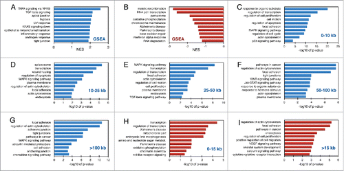 Figure 2. Gene set enrichment analysis of immediate serum-response genes. Normalized enrichment scores calculated by GSEA for pathways identified in induced (A) and repressed (B) serum response genes. Enriched pathways identified by DAVID in induced (C-G) and repressed (H-I) gene sets grouped based on gene size. The data is expressed as -log10 of p-values from two independent biological experiments.