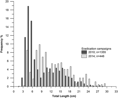Figure 3. Length frequencies in the catches of non-native brown trout in the two eradication campaigns (2010 and 2014).