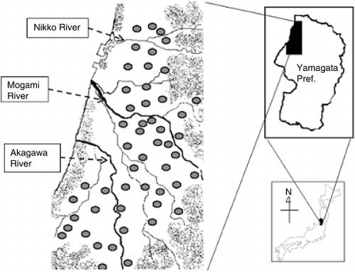 Figure 1  Location of the Shounai Plain experimental site and the distribution of the soil sampling points.