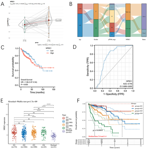 Figure 3 Significance of neural proliferation differentiation and control-1 (NPDC1) expression in colon cancer. (A) The levels of NPDC1 expression in different tissues; (B) Mulberry plots showing the correlation between NPDC1 expression levels and clinical information; (C) NPDC1 survival curves. (D) Receiver operating characteristic curve of the predictive power of the variable NPDC1 in predicting tumor and normal outcomes; (E) Expression of NPDC1 in various pathologically staged tissues; (F) Prognostic differences between patients with different pathological stages. ****P < 0.0001, ns indicates no significance.