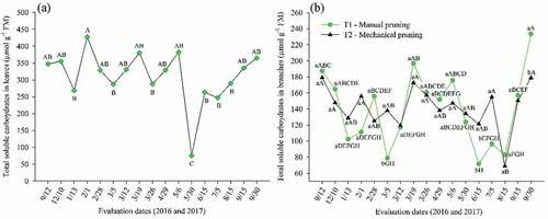 Figure 9. Total soluble carbohydrates in leaves and branches in ‘Tommy Atkins’ Mango on different evaluation dates in the production cycle