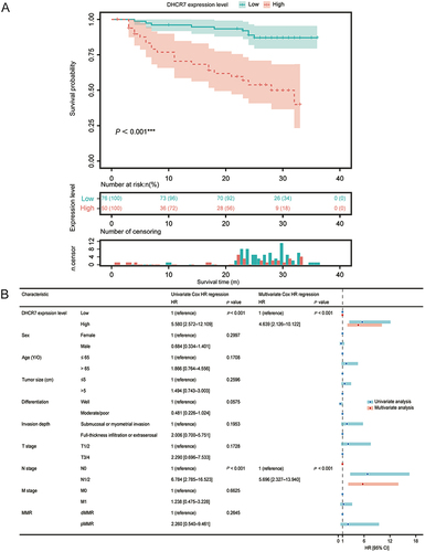 Figure 7 Survival analysis in relation to high and low expression of DHCR7 determined by immunohistochemistry in the CMU cohort (A) Kaplan‒Meier survival curves for DHCR7. (B) Univariable and multivariable analyses of factors associated with overall survival.