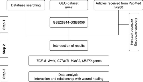 Figure 2 The flow chart of the data mining process.