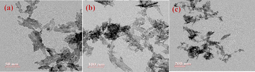 Figure 3. HR-TEM of PA-12/CuONPs at different magnifications.