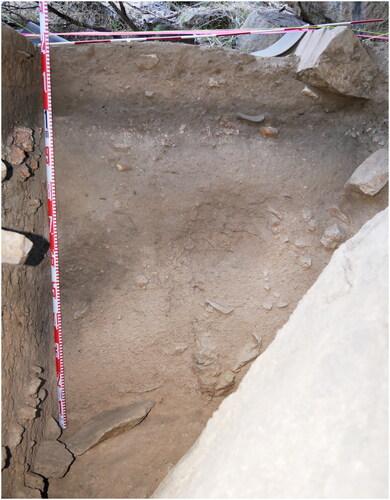 Figure 6. East section, Square A, Garden Range 2, 11 March 2018. Horizontal scale in 10 cm units (photograph by Ian J. McNiven).