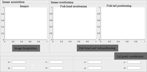 Figure 6. Freshwater fish head and tail intelligent positioning system interface.