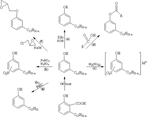 Figure 6. Reaction scheme showing some vital reactions of Cardanol.