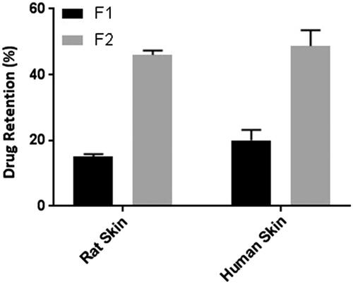 Figure 5. Comparison of drug retention in human skin and rat skin after permeation study for 24 h. Data points represent mean ± SD, n = 3. The effective diffusion area of the skin sample after permeation study was cut into small pieces and homogenized in a tissue homogenizer; the drug was extracted in methanol, filtered through 0.22 µm membrane filter and analysed in the UV–visible spectrophotometer after suitable dilution with phosphate buffer (pH 6.8) PEG 400 (50% v/v) to determine the drug retained in the skin. Drug retention in the skin for F2 is significantly higher than F1, both in rat skin and human cadaver skin (p < .05).