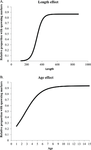 FIGURE 4. Predicted relationships between spawning fraction of Red Snapper (proportion of females with spawning markers) and (A) length (mm) or (B) age (years).