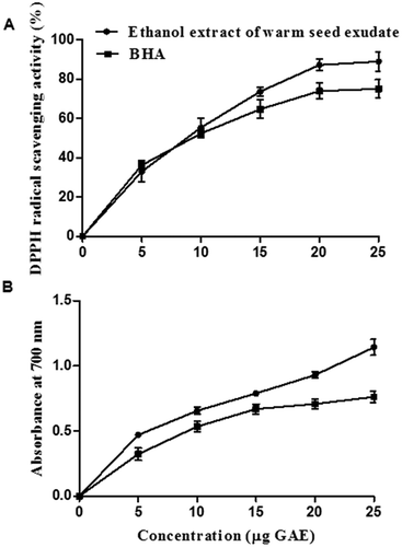 Figure 2. Antioxidative property of ethanol extract of warm seed exudate from green gram and BHA. (A) DPPH radical scavenging property. (B) Reducing power capacity.