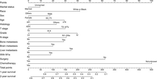 Figure 2 Nomogram for predicting 1- and 2-year OS of NSCLC patients with distant organ metastasis (“Surgery” refers to surgery to the primary cancer site).Abbreviations: ADC, adenocarcinoma; NSCLC, non-small-cell lung cancer; OS, overall survival.