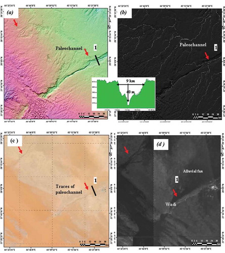 Figure 6. Zooms of fluvial channels derived from DEM using a D8 algorithm (a and b), from the corresponding Landsat 8 (c), and SIR-C image (d), showing detail of fluvial channels (wadis) on SRTM DEM, traces on Landsat 8 image, and fluvial fans on SIR-C image. These show the capability of the SRTM and SIR-C SAR sensors to imagine details of fluvial channels than optical sensors.