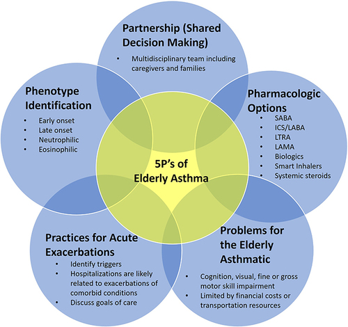 Figure 2 Key Principles (“5 Ps”) in Approaching Asthma in the Elderly.