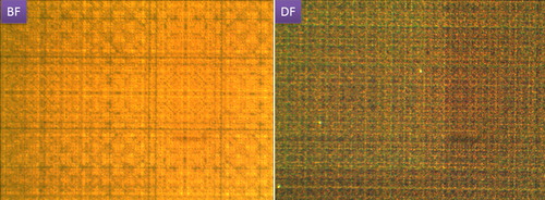 Figure 2. Array dark and bright field images: octagonal structure was observed under × 100 objective with NA 0.8 and working distance 4.1 mm, and under × 20 objective with NA 0.4 and working distance 10.1 mm in reflection measurements