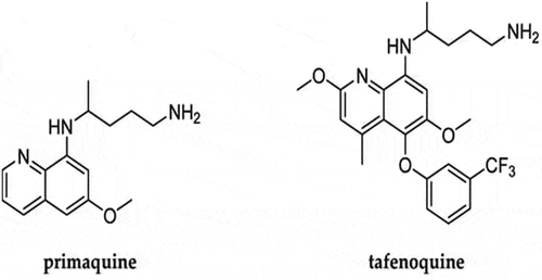 Figure 1. Chemical structure of primaquine and tafenoquine.