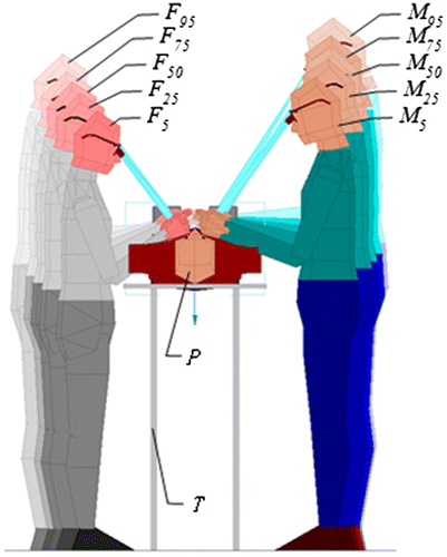 Figure 4. Virtual scene of surgeon doing operation as TH = 1,100 mm.