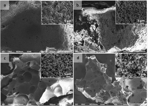 Figure 7. Macropore morphologies of hydroxyapatite (HAp) scaffolds fabricated using polyvinylpyrrolidone (PVP) as a porogen in the following concentrations: (a) 0 wt %; (b) 5 wt %; (c) 10 wt %; and (d) 15 wt % (Insets: HAp-based scaffolds magnified 3000 times).