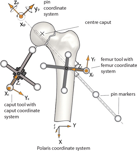 Figure 18. Coordinate systems