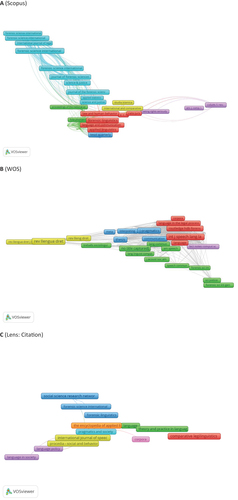 Figure 12. (Co)-citation by source network visualization.