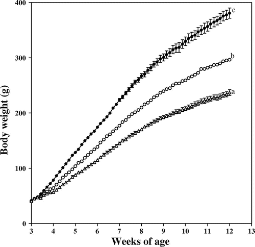 Fig. 1. Change in body weight of the rats.Note: ●, ad libitum feeding (control group); ○, 80% restriction of food intake; and △, 65% restriction of food intake. Each symbol reflects the mean ± SEM for 5 rats. Values on the last day of the experiment that do not share the same superscripted letters are significantly different by ANOVA and subsequently Tukey multiple-comparison test.