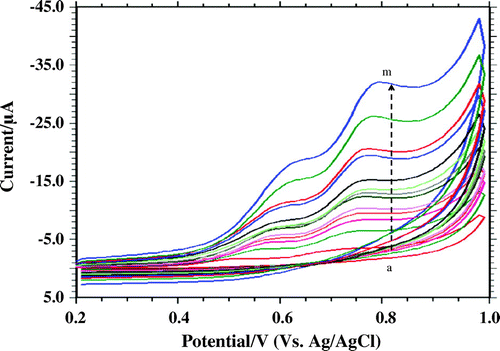 Figure 4. Effect of scan rate on Ip (Peak current). Voltammogram recorded at Scan rate (a) 0.01, (b) 0.05, (c) 0.08, (d) 0.1, (e) 0.12, (f) 0.15, (g) 0.2, (h) 0.25, (i) 0.30, (j) 0.35, (k) 0.40, (l) 0.5, (m) 0.7 V s−1.