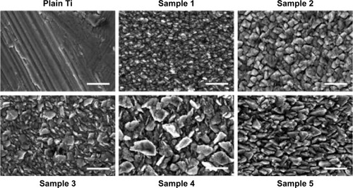 Figure 3 Scanning electron micrographs of the titanium samples show the drastic changes in topography despite mostly similar roughness measurements.Note: Scale bar =500 nm.
