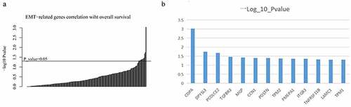 Figure 5. Individual EMT-related genes were categorized based on the significance of their association with survival (a); the Y-axis shows the −log10 P-value estimated by using the Wald test for 13 EMT-related genes in the CPH model (p < 0.05) (b)