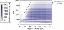 Figure 4 Contour plot of PILS-ToF mass spectrum as a function of reaction time, during the NO photooxidation of isoprene, EPA1353A. (Color figure available online.)
