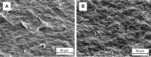Figure 4 Scanning electron micrographs of E7-PLLAsc (A) and E7-APLLAsc (B) aggregates.Notes: A drop of either E7-PLLAsc or E7-APLLAsc suspension, with the same concentration employed for subcutaneous mouse immunization, was deposited on the sample holder. The magnitude scale bars are indicated.Abbreviations: E7-PLLAsc, E7-containing poly(l-lactide) single crystals; E7-APLLAsc, E7-containing amino-functionalized poly(l-lactide) single crystals.