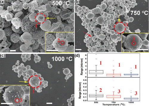 Figure 3. SEM images of powders generated from the precursor solution with 1 M Cu(NO3)2, 0.1 M SnCl2, 0.1 M HNO3, and 4.8 M EG. The reaction temperatures were 500°C (a), 750°C (b), and 1000°C (c). The CGFR was fixed at 3 L/min. Insets are higher magnification images of selected regions marked by solid arrows. The scale bars in all figures are 1 μm. (d) The summary of the diameter of the particles marked as 1, 2, and 3 in (a)–(c). Detailed size distributions for each condition can be found in Figure S5 (in the SI).
