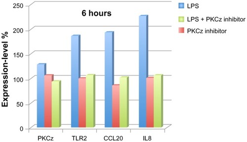 Figure 3 Protein kinase C, zeta (PKCz) transduces Vitreoscilla filiformis biomass (VFB)-derived lipopolysaccharide (LPS) (10 μg/mL) signaling into normal human epidermal keratinocytes. expression-level fold changes in percentage change (100% steady-state level; 200% double expression) for PKCz, TLR2, CCL20, and IL8 in keratinocytes in response to VFB-derived LPS.