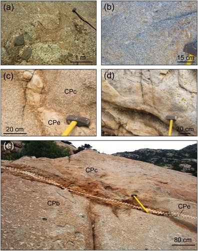 Figure 5. Magmatic units of the Castellaccio Pluton: (a) Granodiorite with mafic enclaves (CPa); (b) porphyritic granodiorite (CPb); (c) Late-magmatic acid dyke (CPe) intruding granodioritic-monzogranitic rocks (CPc); (d) detail of fine-grained leuco-monzogranite (CPd); (e) contact between a coarse-grained granodiorite (CPb) and leuco-granodiorite (CPc), the contact is injected by a thin acidic dyke (CPe).