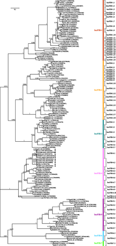 Figure 1 A maximum-likelihood phylogenetic tree of repBIncFIB sequences.