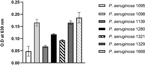 Figure 3 Biofilms formed by MDR PA clinical isolates cultured for 24 h at static non-renewal condition, as analyzed by crystal violet staining procedure and shown as O.D values measured at a wavelength of 630 nm. All assays were performed in triplicates. The values presented are mean ± SD from two readings of triplicate experiments (n = 6).