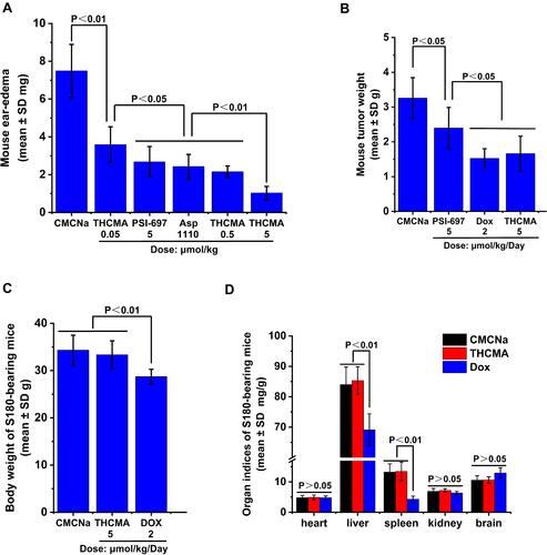 Figure 7 Anti-inflammation and antitumor activity and systemic toxicity of THCMA. (A) Anti-inflammation activity of THCMA (n=10); (B) antitumor activity of THCMA (n=6); (C) effect of THCMA on body weight in S180-bearing mice (n=8); (D) effect of THCMA on organ:body-weight ratios of S180-bearing mice (n=8).