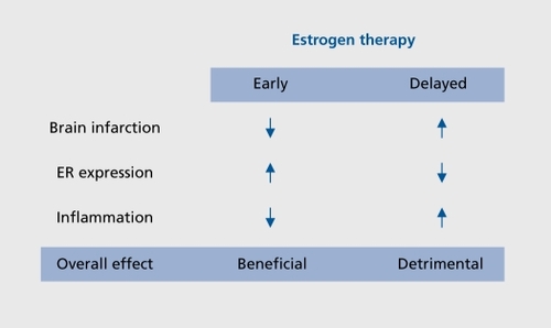 Figure 3. Estradiol protects the brain only if treatment is initiated immediately after hypoestrogenicity is induced. Estradiol decreases the size of the infarct, induces estrogen receptor (ER) and suppresses inflammation only if it is administered immediately after ovariectomy. We have used ovariectomy to mimic the menopause. These findings strongly suggest that, if estrogen therapy (ET) is initiated after several years of postmenopause, as was the case in the Womens' Health Initiative, that ET will not be effective in protecting the brain against neurodegeneration.