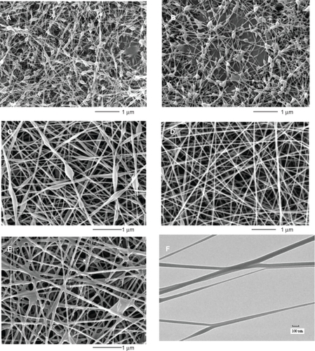 Figure 1 SEM images of FSCP/COS NFMs with different FSCP/COS mass ratios of 1:3 (A), 1:2 (B), 1:1 (C), 2:1 (D), and 3:1 (E); TEM image of FSCP/COS NFM with FSCP/COS at a mass ratio of 2:1 (F).Abbreviations: COS, chito-oligosaccharides; FSCP, fish scale collagen peptides; NFMs, nanofibrous membranes.