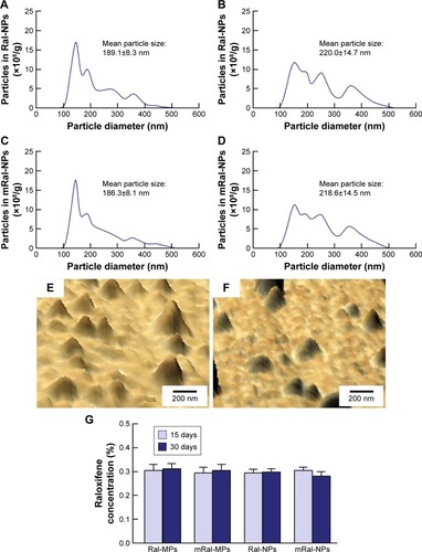 Figure 2 Stability of raloxifene transdermal formulations 15 and 30 days after bead mill treatment.Notes: Particle size frequencies of Ral-NPs 15 days (A) and 30 days (B) after bead mill treatment. Particle size frequencies of mRal-NPs 15 days (C) and 30 days (D) after bead mill treatment. The particle size was measured by NANOSIGHT LM10. SPM images of Ral-NPs (E) and mRal-NPs (F) 30 days after bead mill treatment. (G) Changes in the raloxifene contents of transdermal formulations after bead mill treatment. The data represent the means ± SE, n=10. The transdermal formulations containing raloxifene nanoparticles were stable because no drug precipitation or degradation was observed during 30 days after preparation.Abbreviations: mRal-MPs, transdermal formulation containing raloxifene microparticles and menthol; mRal-NPs, transdermal formulation containing raloxifene nanoparticles and menthol; Ral-MPs, transdermal formulation containing raloxifene microparticles; Ral-NPs, transdermal formulation containing raloxifene nanoparticles; SE, standard error of the mean.