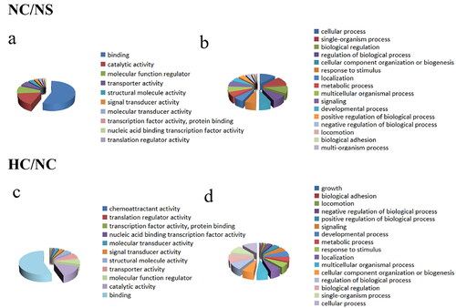 Figure 2. GO analysis of differentially phosphorylated peptides in NC/NS and HC/NC comparison groups. GO analysis of phosphoproteins differently expressed in NC/NS and HC/NC comparison groups based on the molecular function (a,c) and biological process (b,d) using PANTHER classification. NS: sham operation + normal salt diet; NC: 5/6 Nx + normal salt diet; HC: 5/6 Nx + high salt diet; 5/6 Nx: 5/6 nephrectomy.