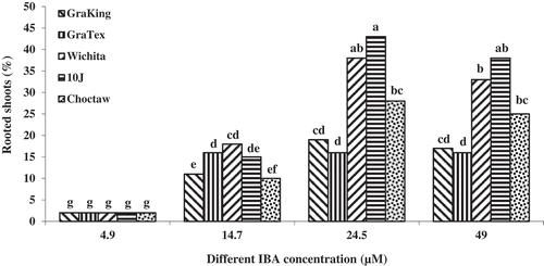 Figure 9. Effect of different IBA concentrations on in vitro rooting of micro shoots originated from various pecan cultivars. Means of columns followed by the same letter are not significantly different according to Duncan’s multiple range test (P ≤ .05)