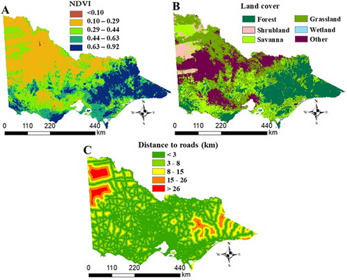 Figure 4. Fuel load and human activity conditioning factors for Victoria: A) NDVI, (B) land cover, and (C) distance to roads. The colour codes for each map are described in each figure.