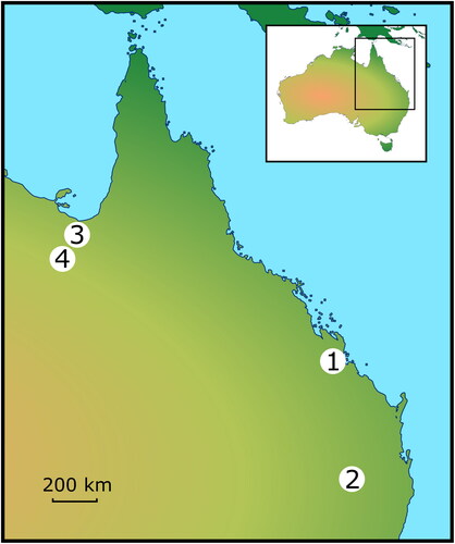Figure 1. Map of Queensland showing fossil localities mentioned in the text. 1: Mount Etna; 2: Russenden Cave; 3: Floraville; 4: Riversleigh World Heritage Area.